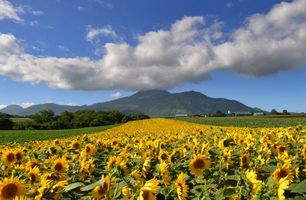 北海道 Niseko Luxury resort (flight ∙ hotel ∙ package ∙ cruise ∙ private tour ∙ business ∙ M.I.C.E ∙ Luxe Travel ∙ Luxury travel  ∙ Luxury holiday  ∙ Luxe Tour  ∙ 特色尊貴包團 ∙  商務旅遊 ∙  自由行套票 ∙滑雪  ∙ 溫泉 ∙ 品味假期 ∙ 品味遊)