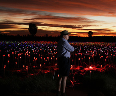 Fields of light Ayers Rock Australia