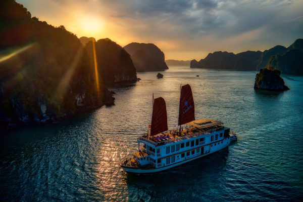 ✨【 CRUISE • HOTEL • PRIVATE DAY TOUR 】A Luxurious and Distinctive Journey in Hanoi and Ha Long Bay, Vietnam | Enjoy Exclusive Offers & Amenities! 