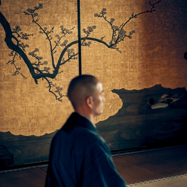 🆕 Discover Kyoto 2025