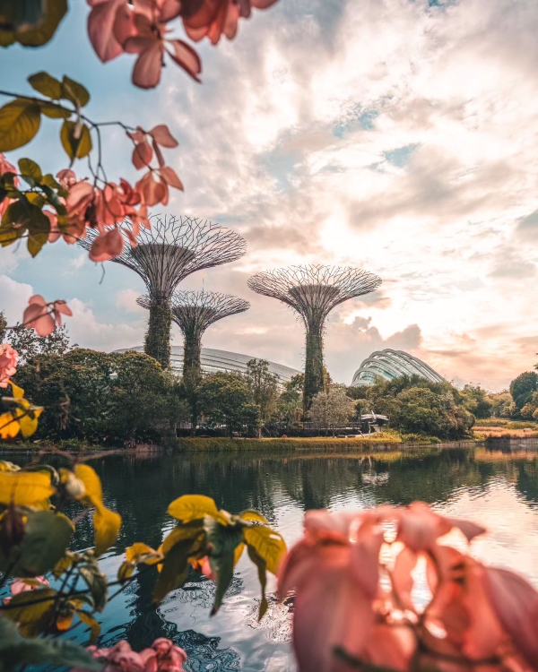 🌟 Unlock Exclusive Offers of Singapore