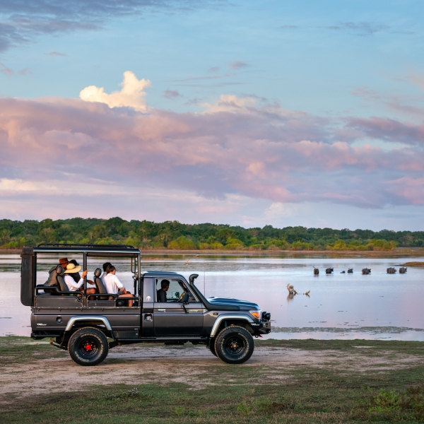 10 Days 8 Nights Private Tour to Sri Lanka | Discover Ceylon