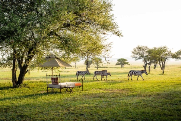 於綠色季節探索非洲坦桑尼亞，將有意想不到的驚喜!