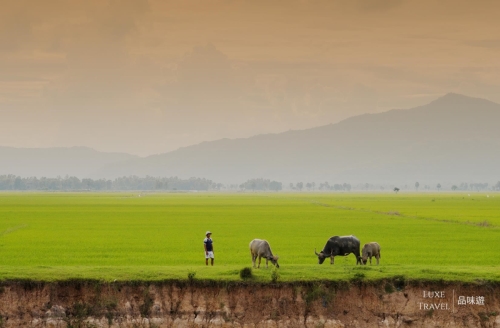 Bentre River Cruise LUXE Private Day Tour